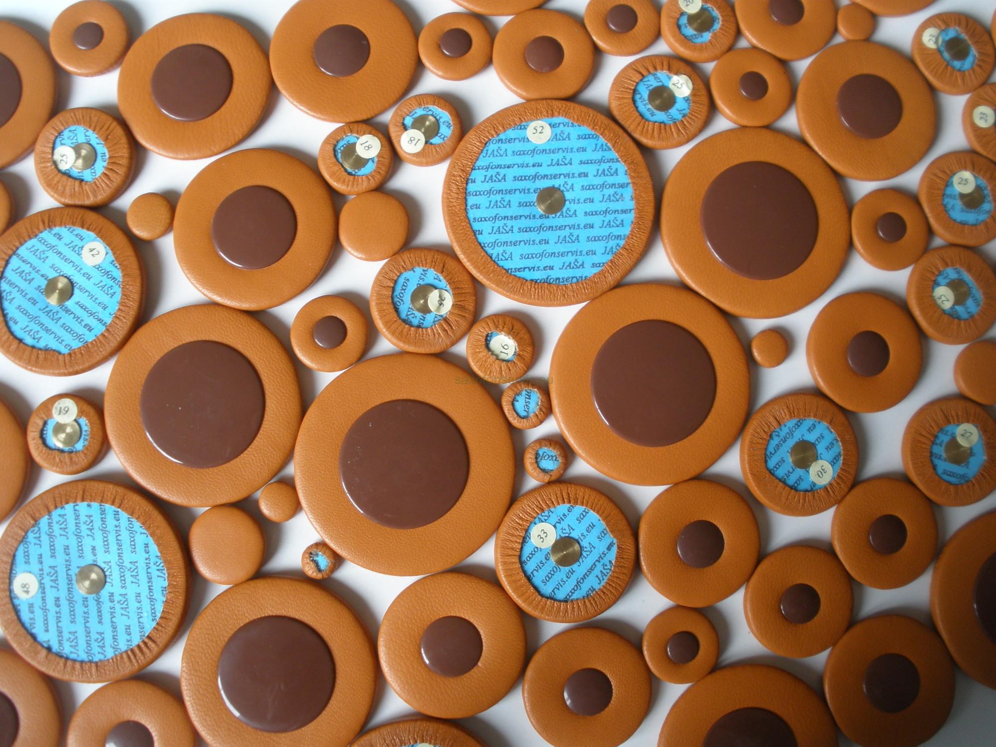 JAŠA - ADP Blue Line 4,7  Baryton