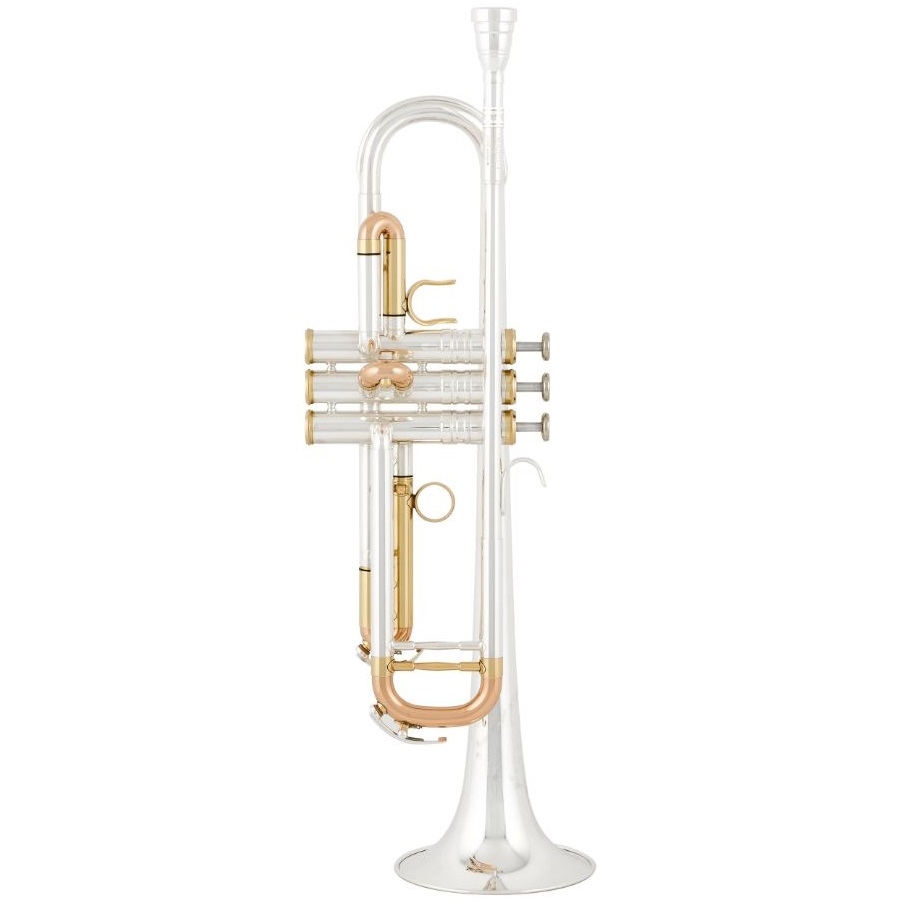 B trumpeta VFC-TR8010SG - MASTER LINE