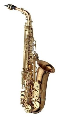 Yanagisawa Eb-Alt Saxofon A-WO20 Elite