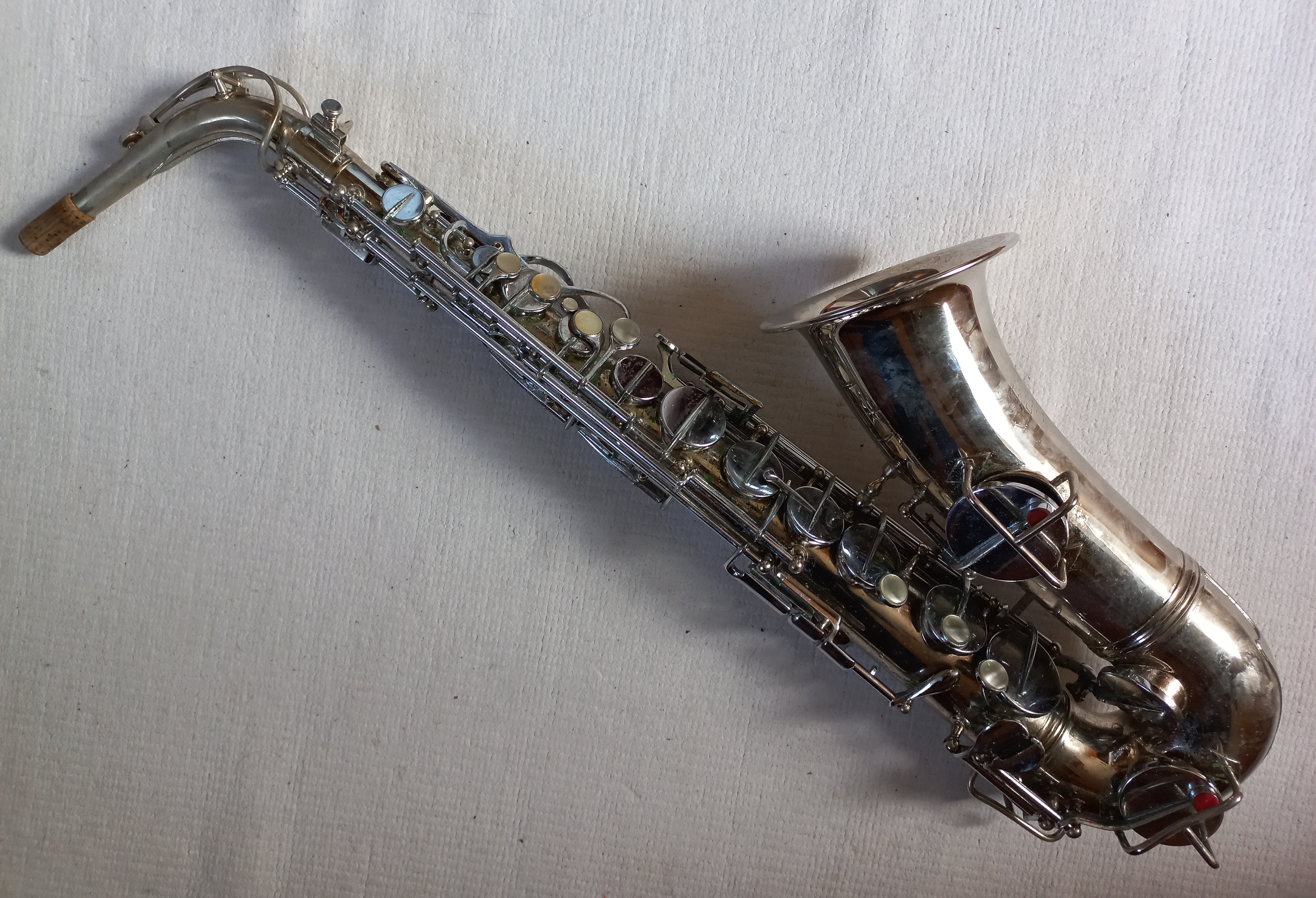 Kohlert Popular No.240541