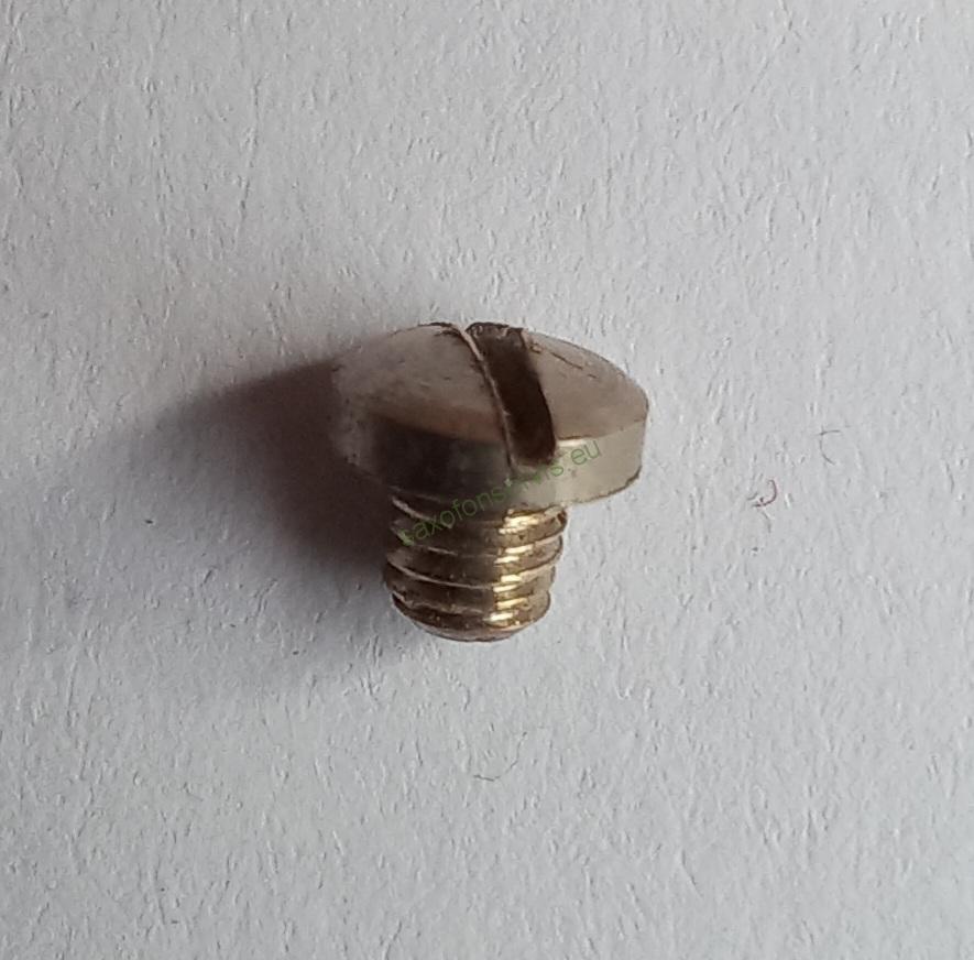 Šroubek niklovaný M 2,9- do chrániče Amati aj.