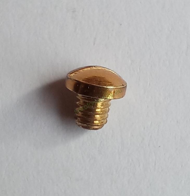 Šroubek lakovaný M2,9 - do chrániče Amati aj.