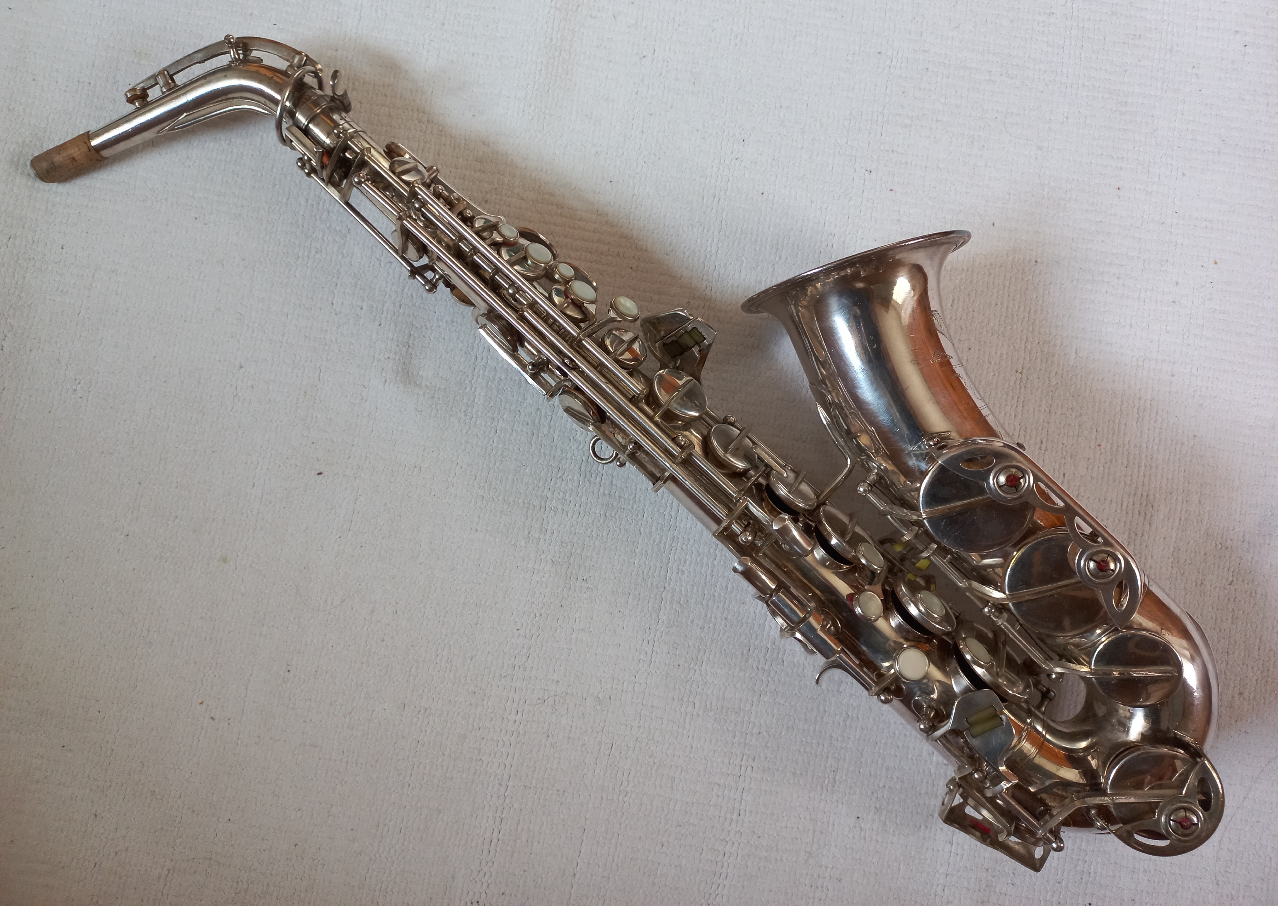 Amati (Toneking) Roberto No.05240