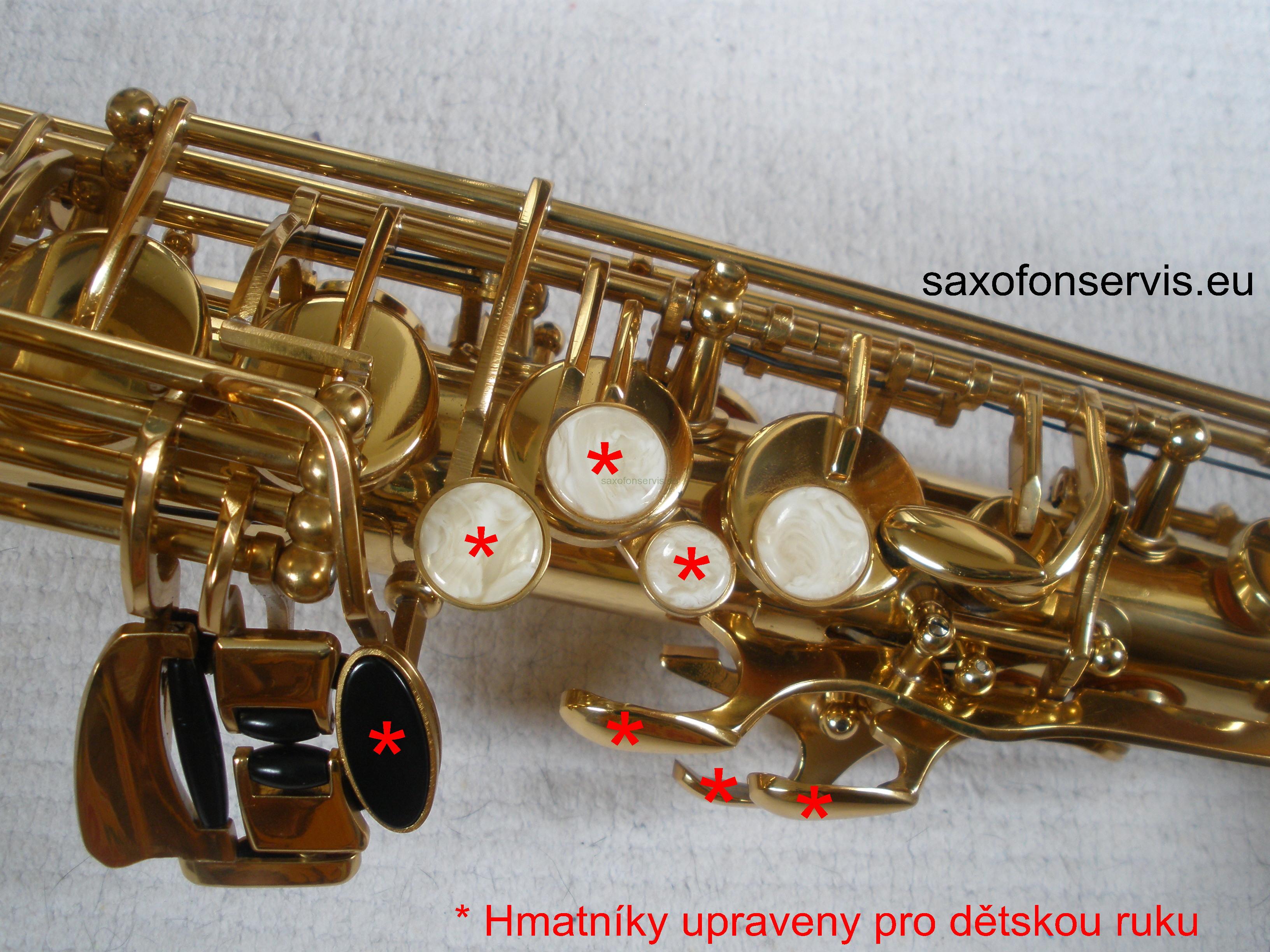 ROY BENSON AS-201 alt saxofon pro děti