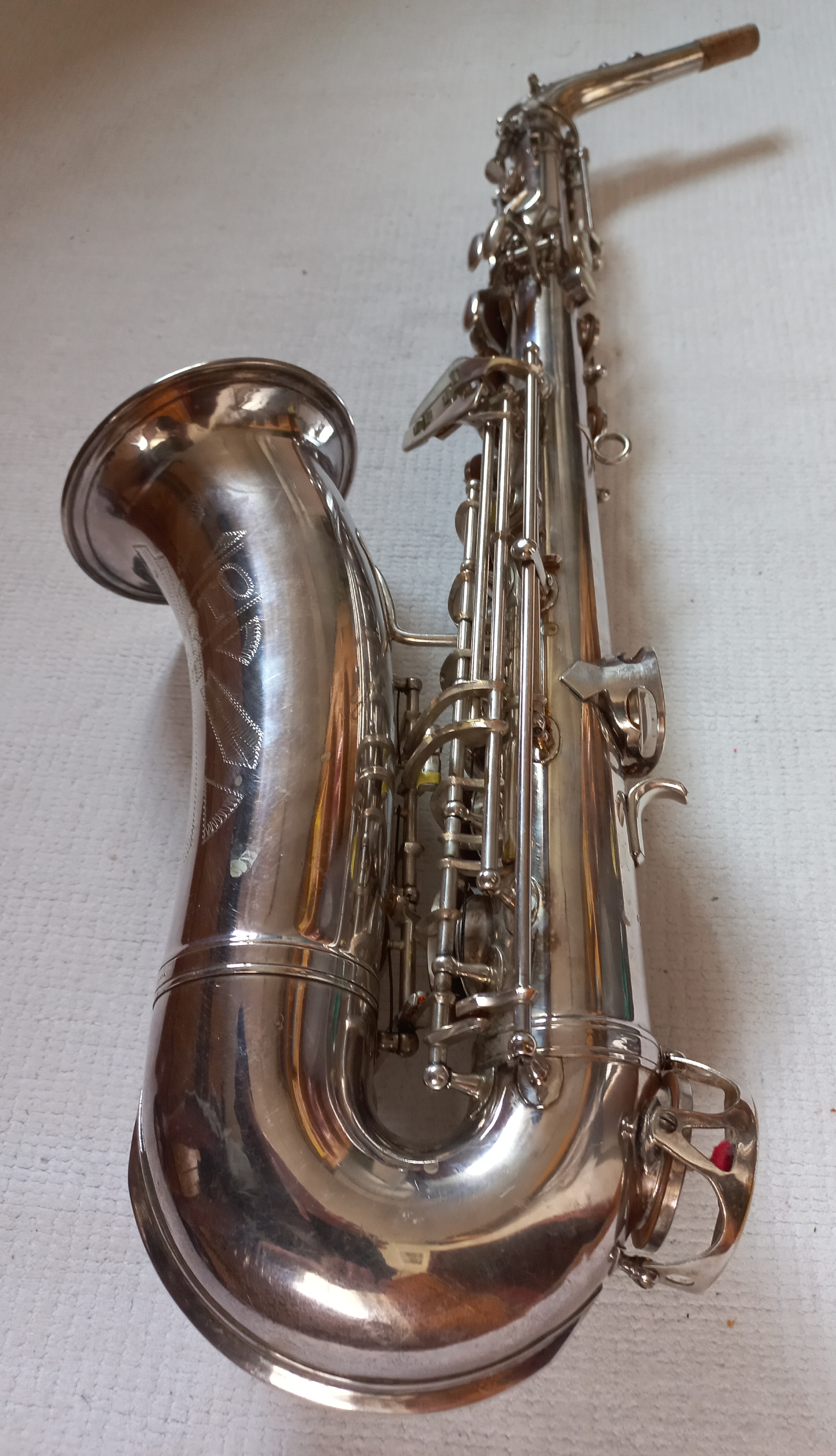 Amati (Toneking) Roberto No.05240