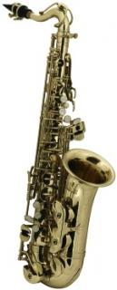 ROY BENSON  AS-201  alt saxofon pro děti