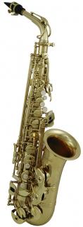 ROY BENSON         AS-302  Pro 