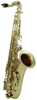 ROY BENSON TS-302 Pro